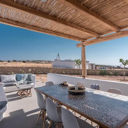 Blue Harpist 쿠포니시아